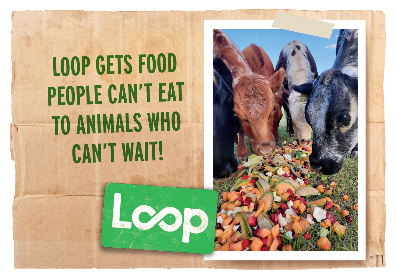 Loop gets food to animals