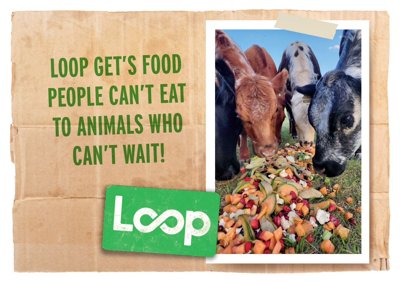 Loop gets food to animals